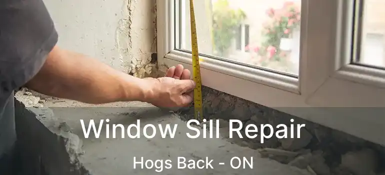  Window Sill Repair Hogs Back - ON