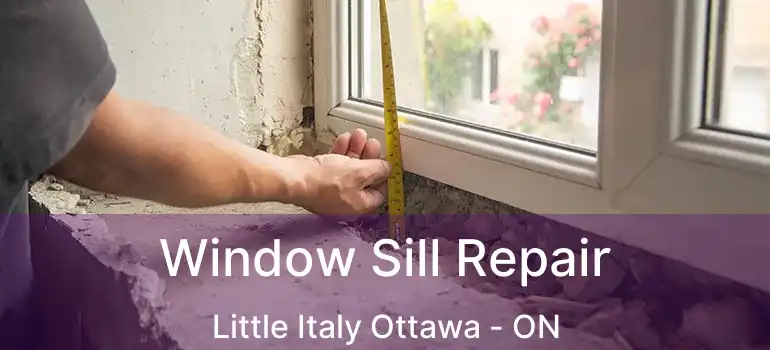  Window Sill Repair Little Italy Ottawa - ON