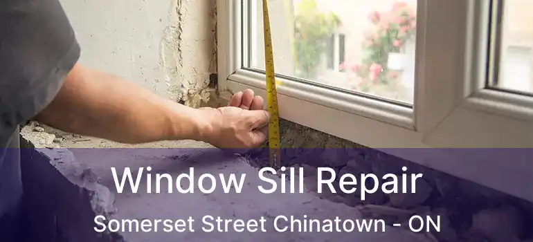  Window Sill Repair Somerset Street Chinatown - ON