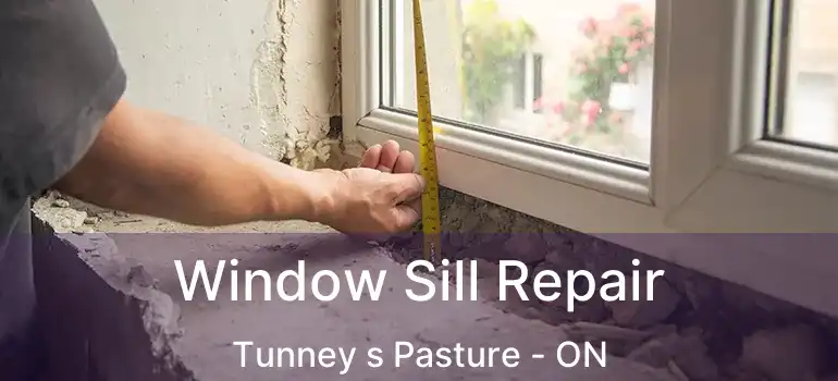  Window Sill Repair Tunney s Pasture - ON