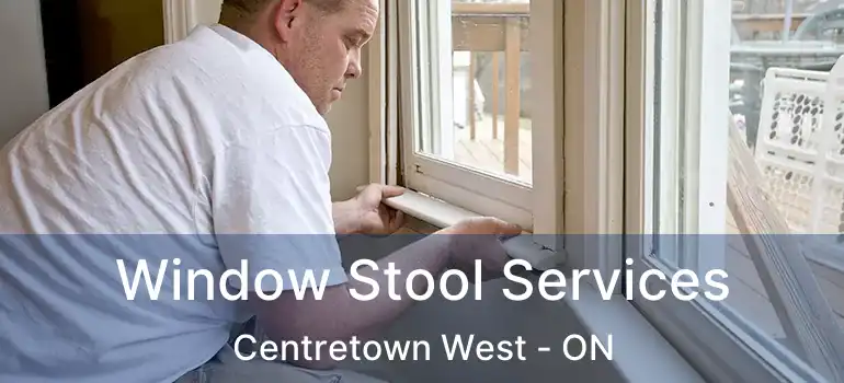  Window Stool Services Centretown West - ON