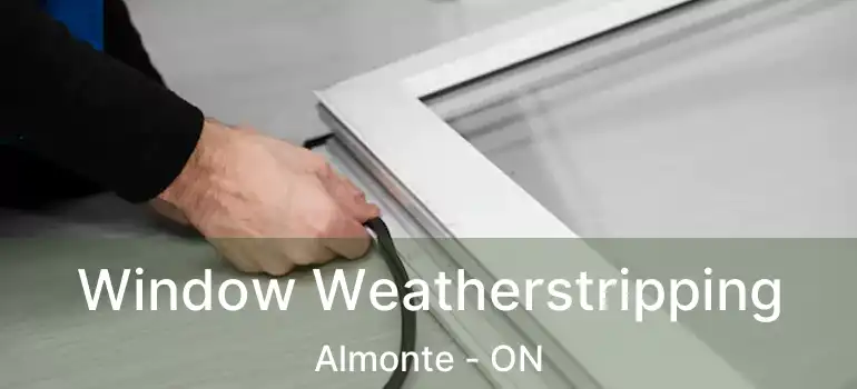  Window Weatherstripping Almonte - ON