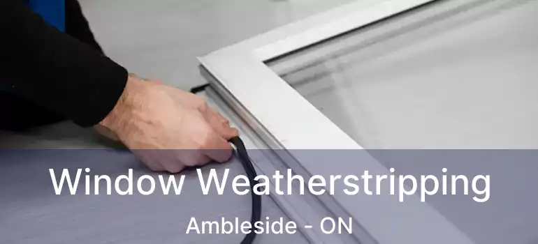  Window Weatherstripping Ambleside - ON