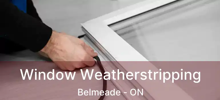  Window Weatherstripping Belmeade - ON