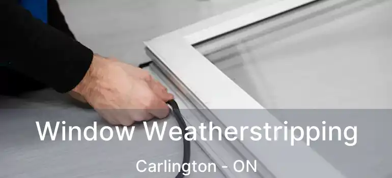  Window Weatherstripping Carlington - ON