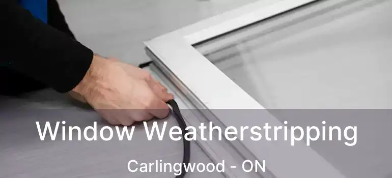  Window Weatherstripping Carlingwood - ON