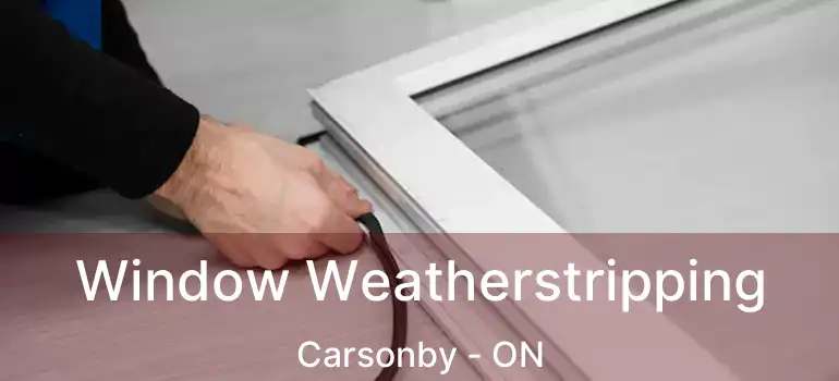  Window Weatherstripping Carsonby - ON