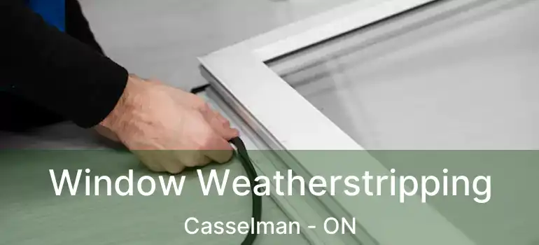  Window Weatherstripping Casselman - ON