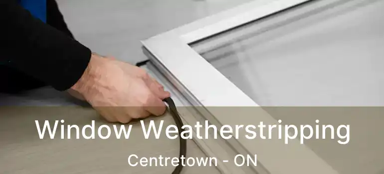  Window Weatherstripping Centretown - ON