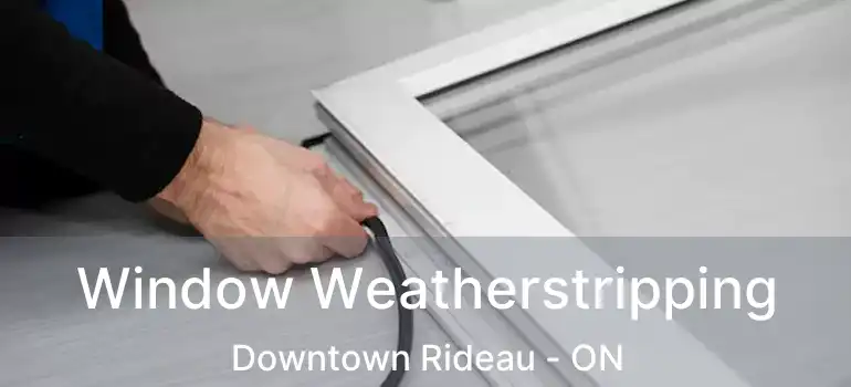  Window Weatherstripping Downtown Rideau - ON