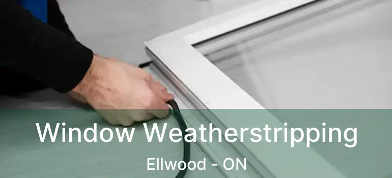  Window Weatherstripping Ellwood - ON