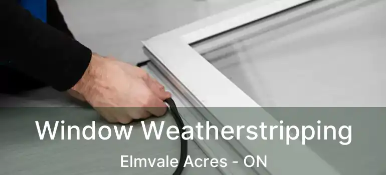  Window Weatherstripping Elmvale Acres - ON