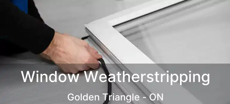  Window Weatherstripping Golden Triangle - ON