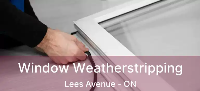  Window Weatherstripping Lees Avenue - ON