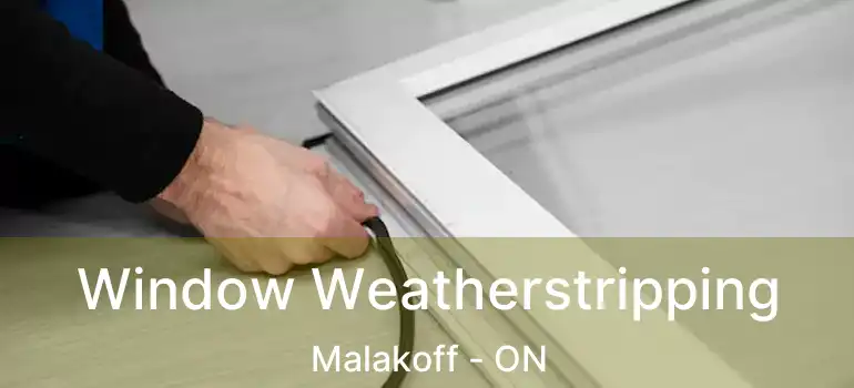  Window Weatherstripping Malakoff - ON