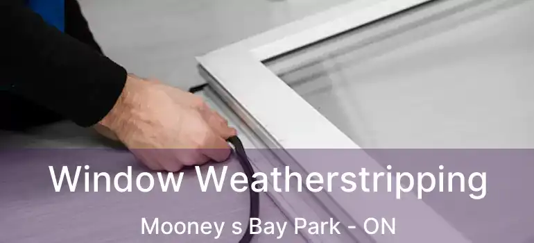  Window Weatherstripping Mooney s Bay Park - ON