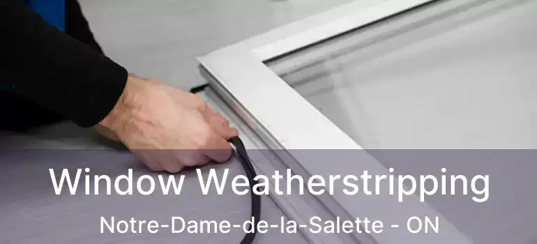  Window Weatherstripping Notre-Dame-de-la-Salette - ON