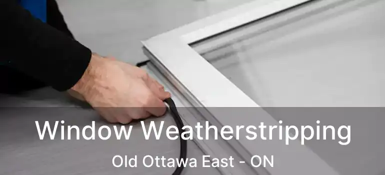  Window Weatherstripping Old Ottawa East - ON