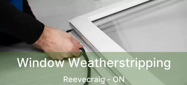  Window Weatherstripping Reevecraig - ON