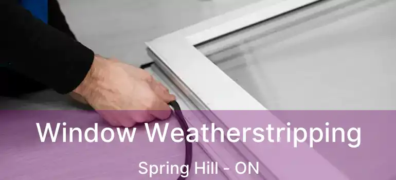  Window Weatherstripping Spring Hill - ON