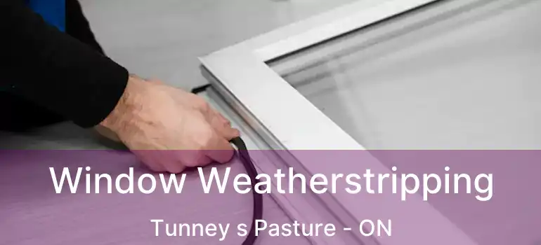  Window Weatherstripping Tunney s Pasture - ON