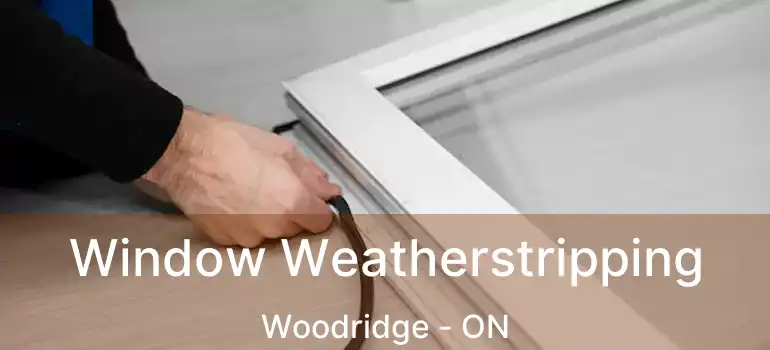  Window Weatherstripping Woodridge - ON