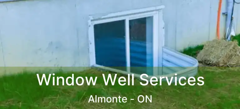  Window Well Services Almonte - ON