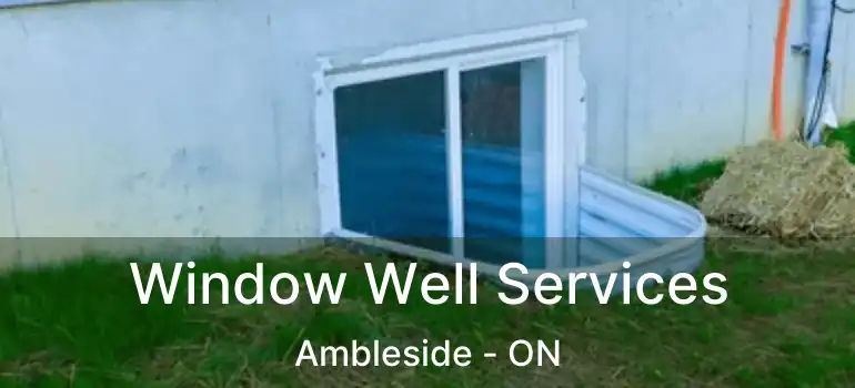  Window Well Services Ambleside - ON