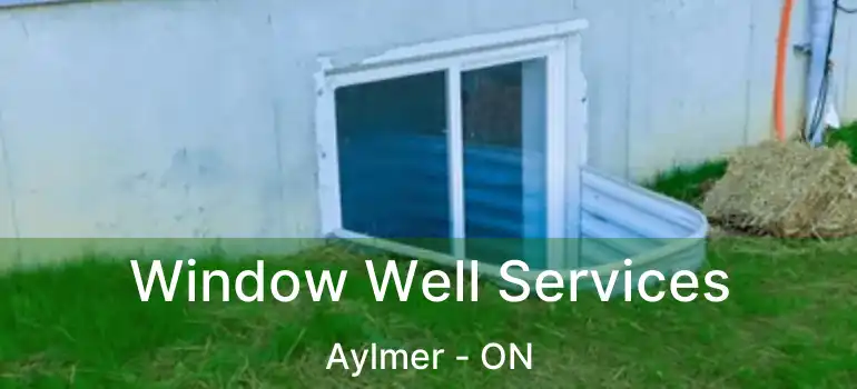  Window Well Services Aylmer - ON