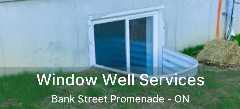  Window Well Services Bank Street Promenade - ON