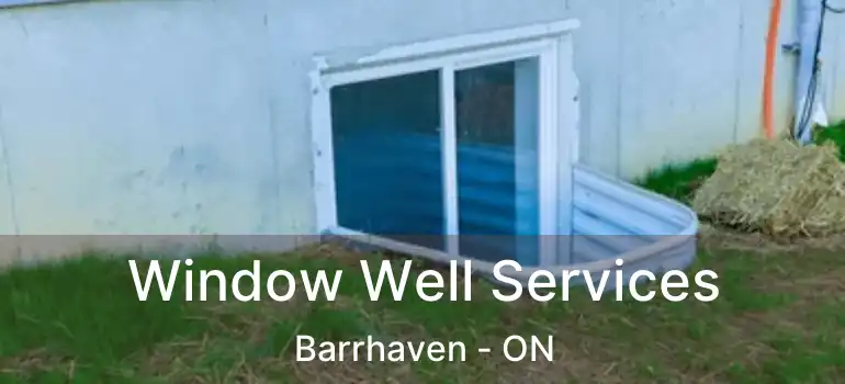  Window Well Services Barrhaven - ON