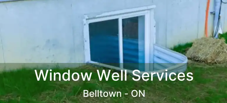  Window Well Services Belltown - ON