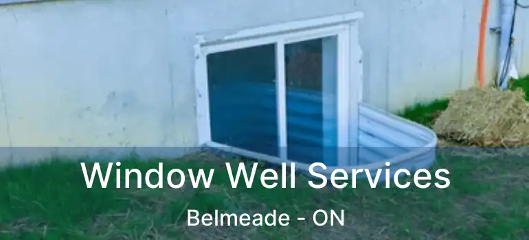  Window Well Services Belmeade - ON