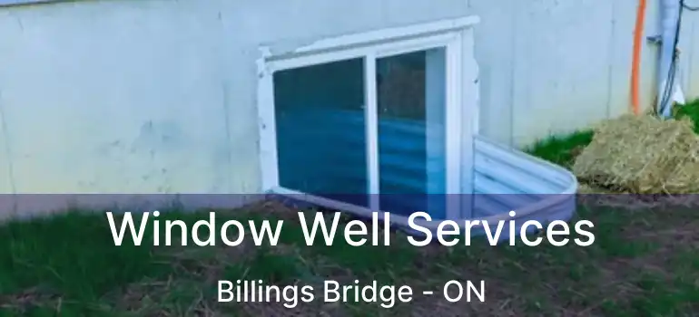  Window Well Services Billings Bridge - ON