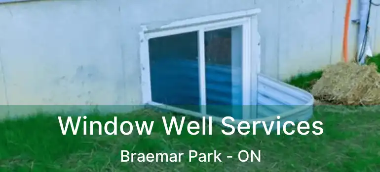  Window Well Services Braemar Park - ON