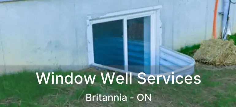  Window Well Services Britannia - ON