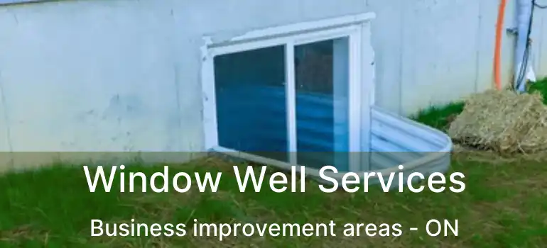  Window Well Services Business improvement areas - ON