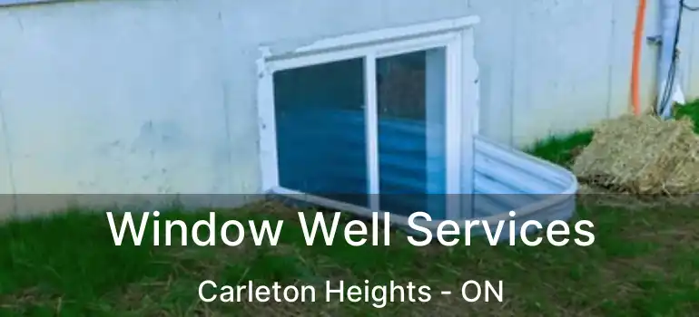  Window Well Services Carleton Heights - ON