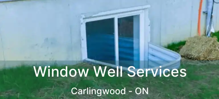  Window Well Services Carlingwood - ON