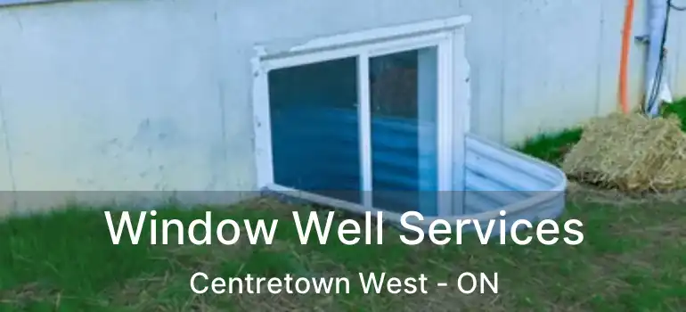  Window Well Services Centretown West - ON