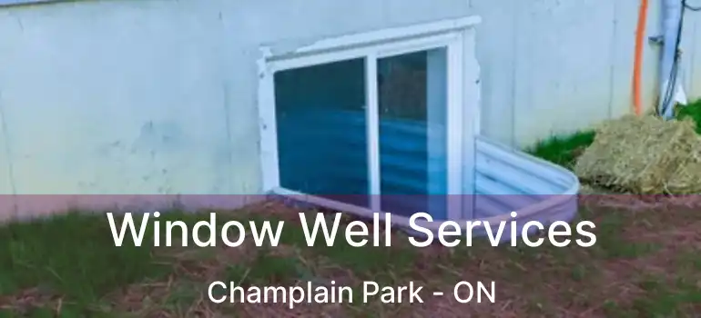  Window Well Services Champlain Park - ON