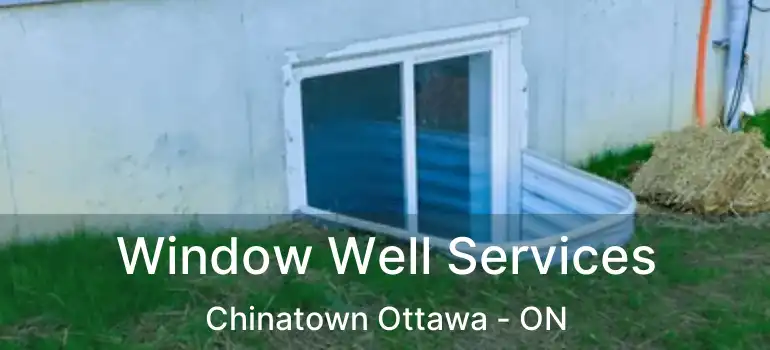  Window Well Services Chinatown Ottawa - ON