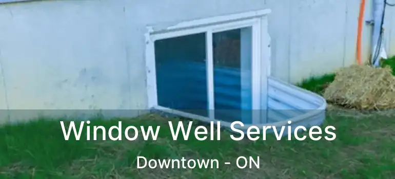  Window Well Services Downtown - ON