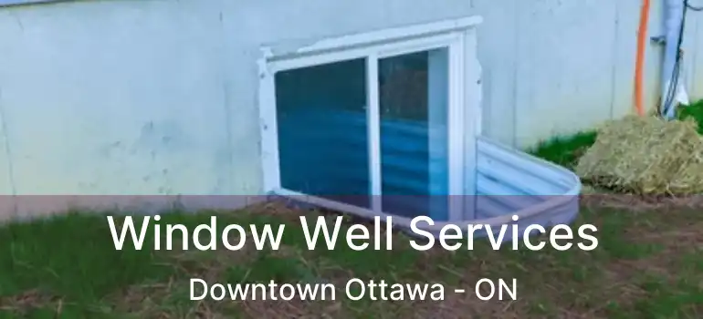  Window Well Services Downtown Ottawa - ON