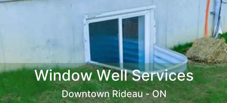  Window Well Services Downtown Rideau - ON