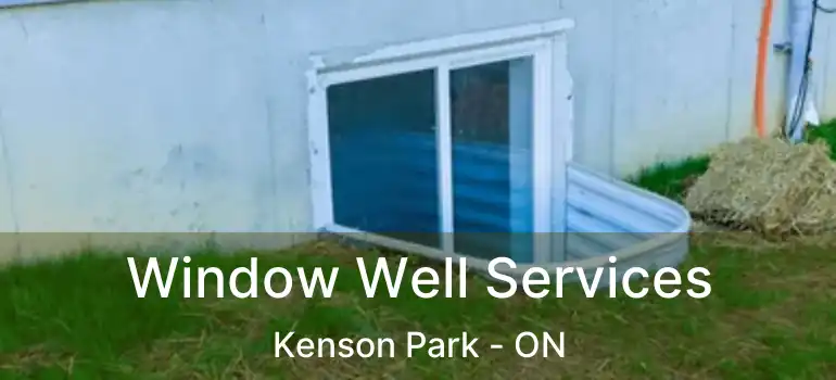  Window Well Services Kenson Park - ON