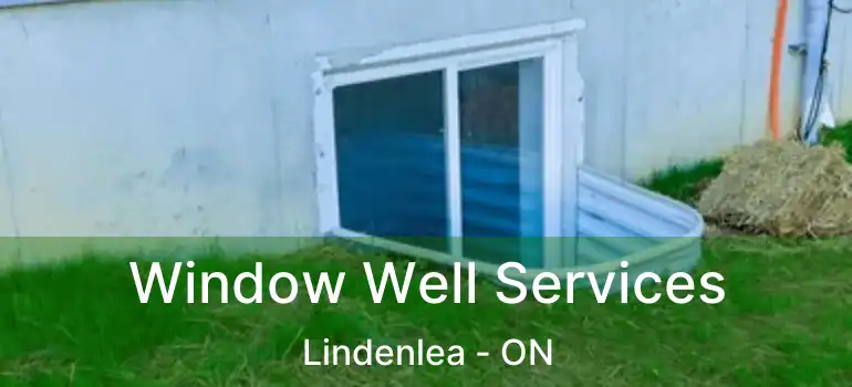  Window Well Services Lindenlea - ON