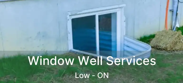  Window Well Services Low - ON