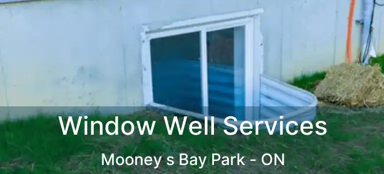  Window Well Services Mooney s Bay Park - ON