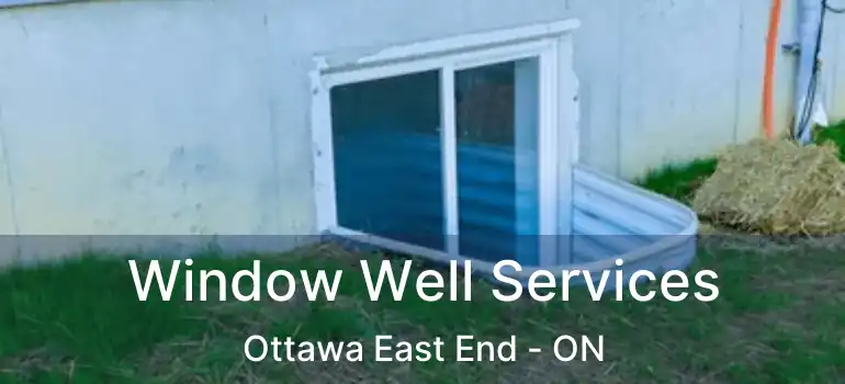  Window Well Services Ottawa East End - ON